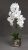 IMG-20191031-WA0107.jpg