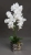 IMG-20191031-WA0108.jpg