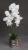 IMG-20191031-WA0109.jpg
