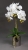 IMG-20191031-WA0077.jpg