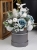 20191116_150623.jpg