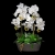 20191019_114852_clipped_rev_1.jpeg