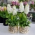 20200311_143949.jpg