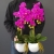 20200509_160652.jpg