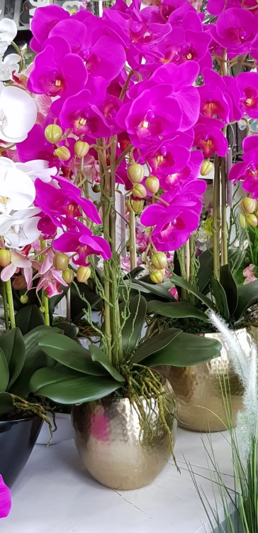 20200513_175852.jpg