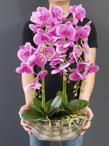 Kompozycja storczyk silikonowy Jenny