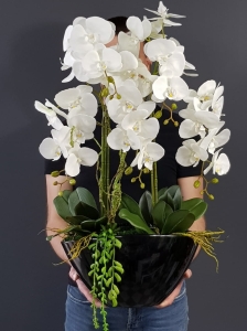 Kompozycja storczyk silikonowy Veronica