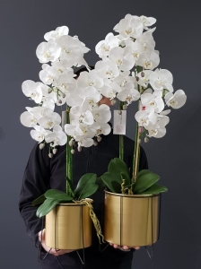 Kompozycja storczyk silikonowy Shari gold L