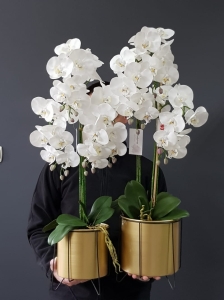 Kompozycja storczyk silikonowy Shari gold M