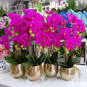 Kompozycja storczyk silikon Tinga fuksja