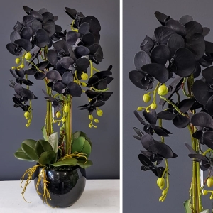 Sztuczny storczyk czarny w donicy Zina black 