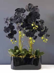 Sztuczny storczyk czarny orchidea w donicy Otta black