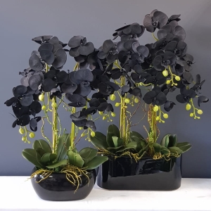 Sztuczny storczyk czarny orchidea w donicy Susanna black