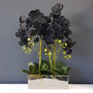 Sztuczny storczyk czarny orchidea w donicy Xena silver