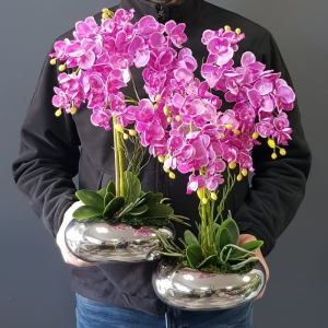 Kompozycja storczyk mini silver róż