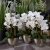 20200530_145746.jpg