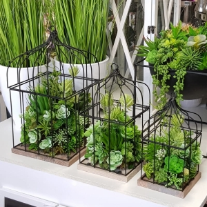 Klatka sukulenty kaktusy kwietnik Cage L