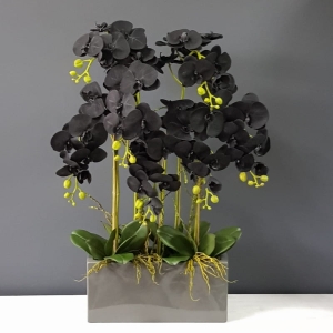 Sztuczny storczyk czarny orchidea w donicy Bella XL
