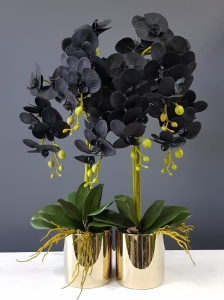 Czarny storczyk orchidea doniczka ceramiczna Marina złota