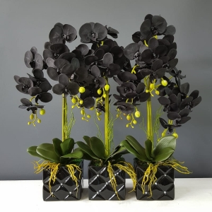 Sztuczny storczyk orchidea czarna doniczka cyrkonie Gloria