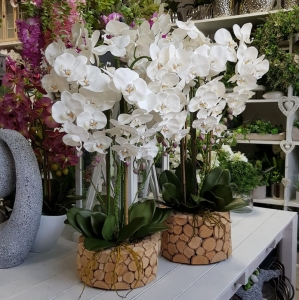 Storczyk sztuczny donica drewno Avia L