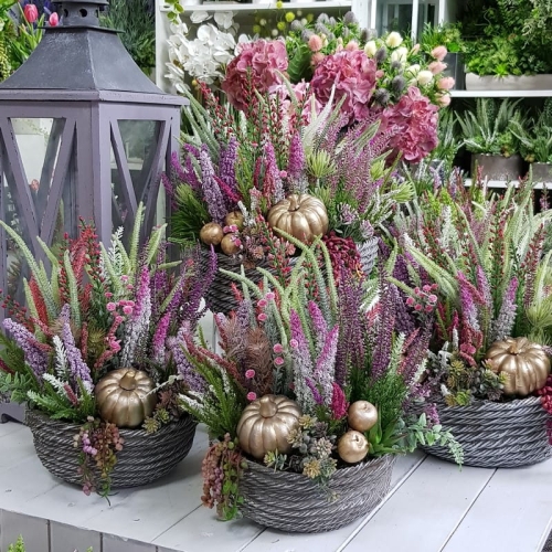 20200904_100554.jpg