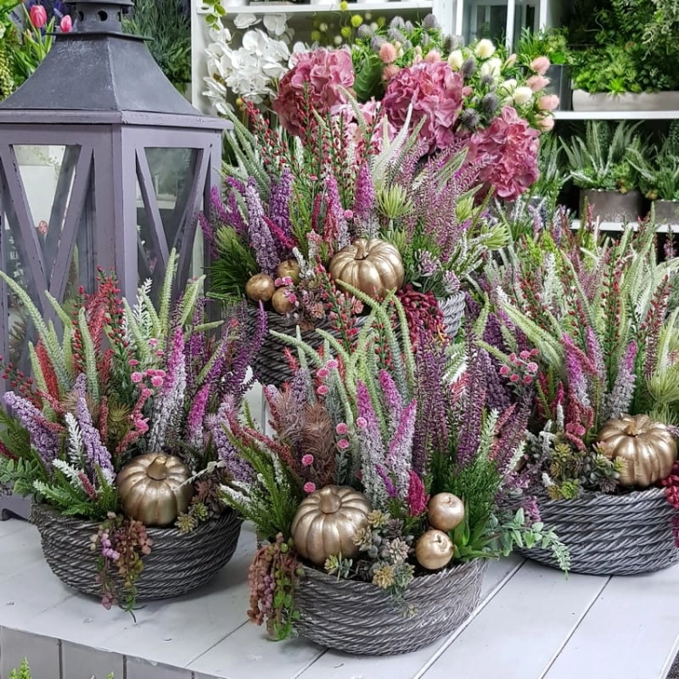 20200904_100554.jpg