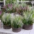 20200827_163430.jpg