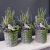 20200907_174439.jpg