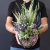 20200910_164646.jpg