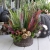 20200923_092332.jpg