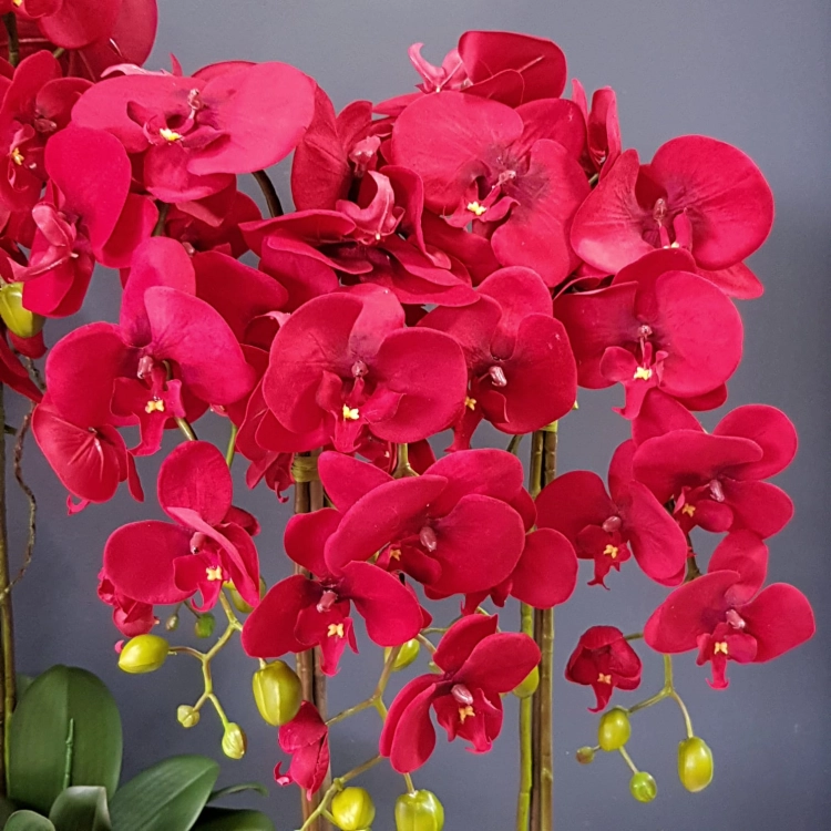 IMG-20201004-WA0043.jpg