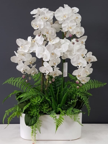 20201004_130758.jpg