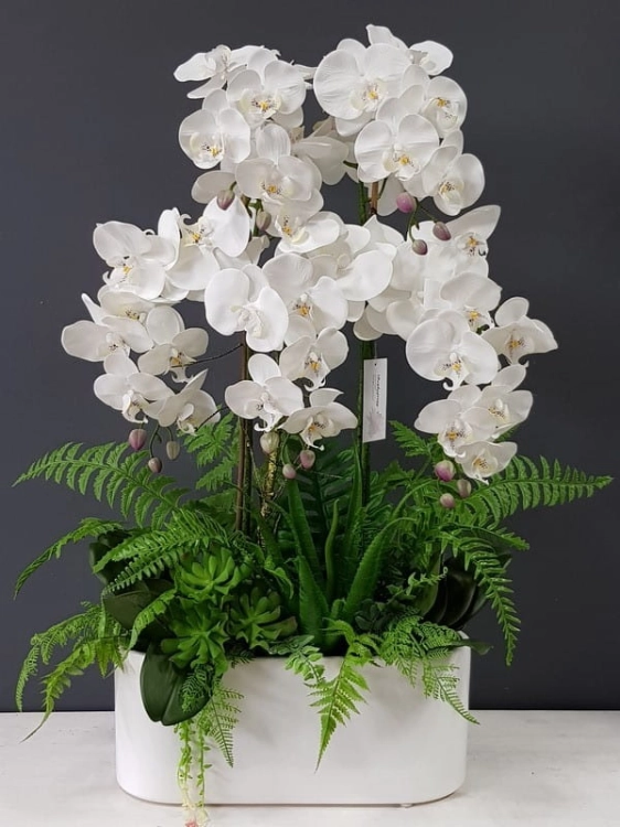 20201004_130758.jpg
