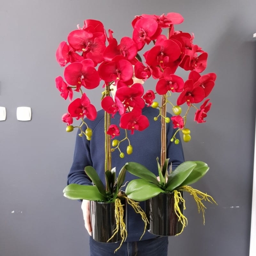 20201004_124846.jpg