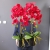 20201004_124846.jpg