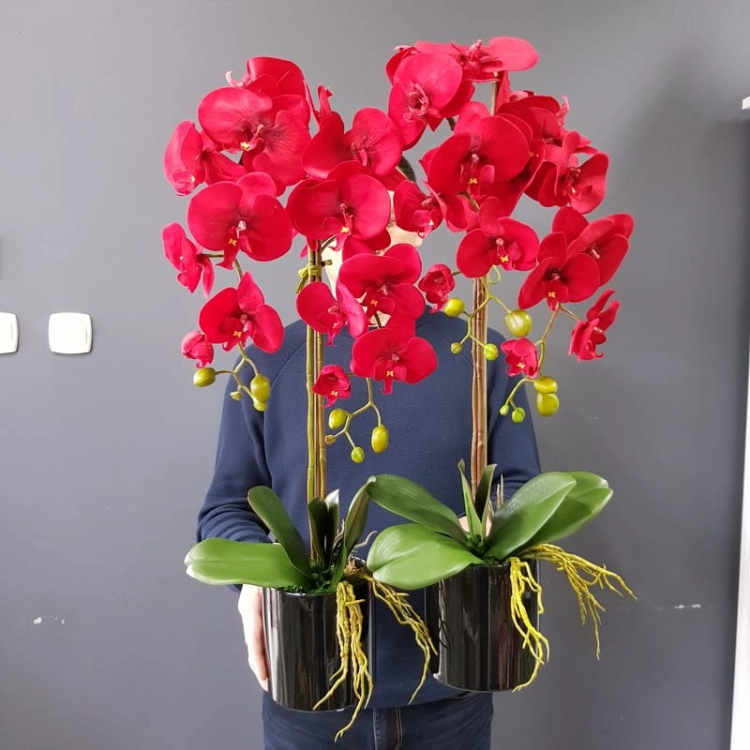 20201004_124846.jpg