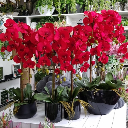 20201004_132433.jpg