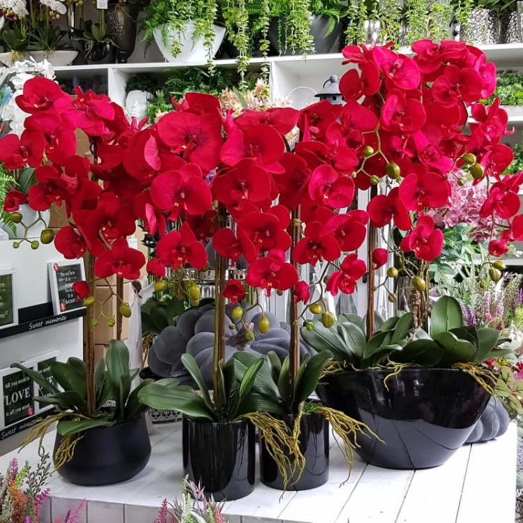20201004_132433.jpg
