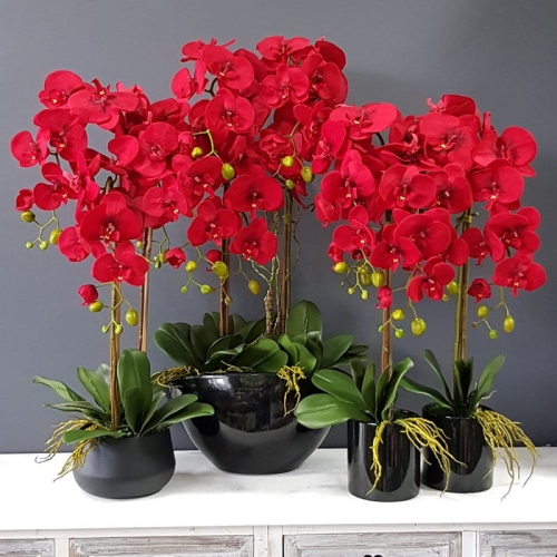 20201004_125654.jpg
