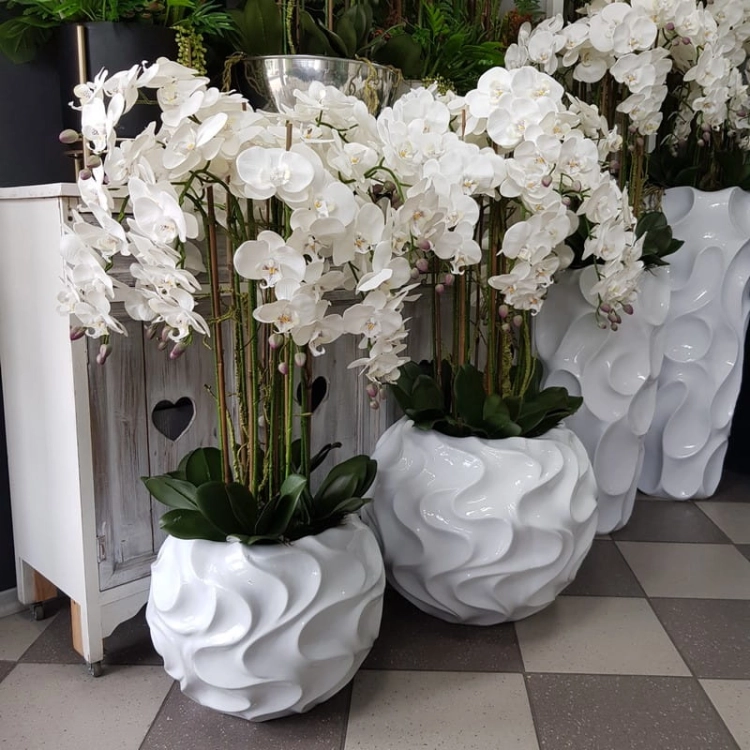 20200901_152441.jpg