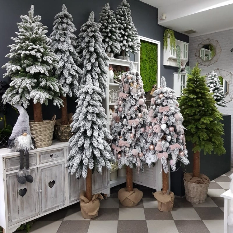 20201126_100717.jpg