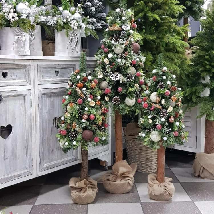 20201212_115643.jpg