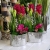 IMG-20210320-WA0031.jpg