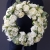 20210427_165139.jpg