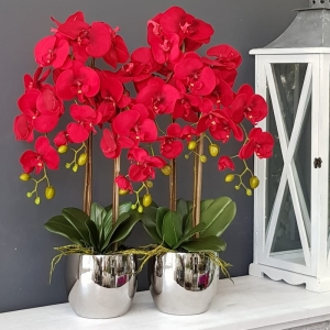 Sztuczny czerwony storczyk orchidea welur rubin