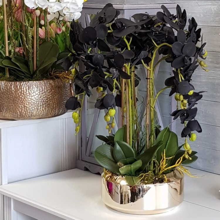 20210607_113505.jpg