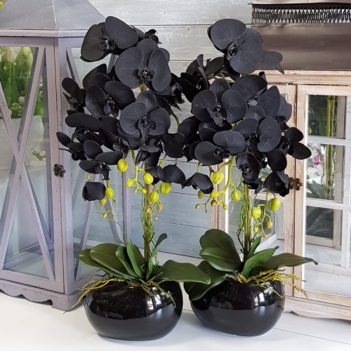 20210607_123048.jpg