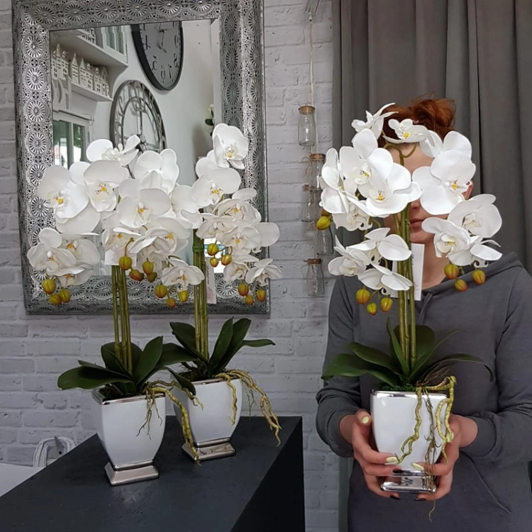 20190514_105751.jpg