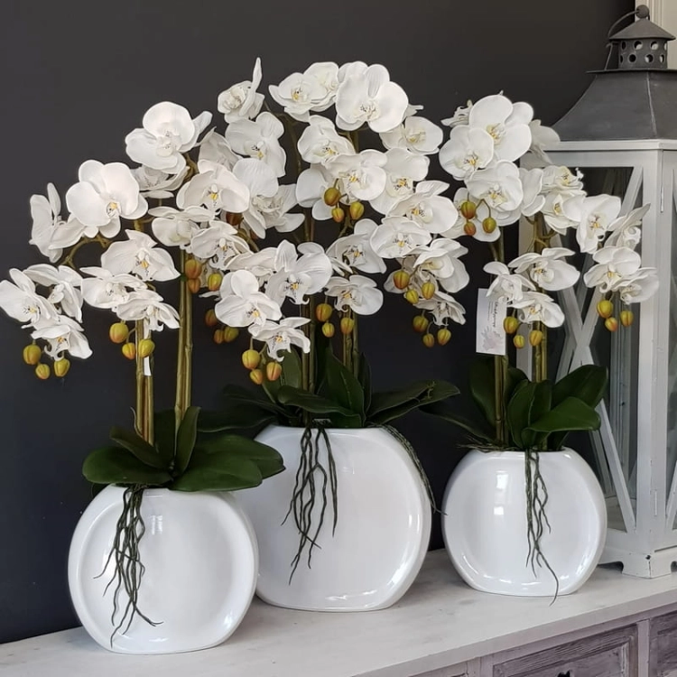 20210607_113102.jpg